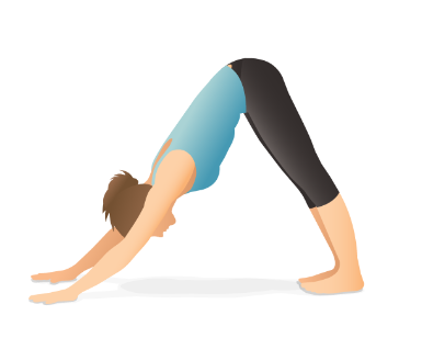 Adho Mukha Svanasana (Downward Dog)