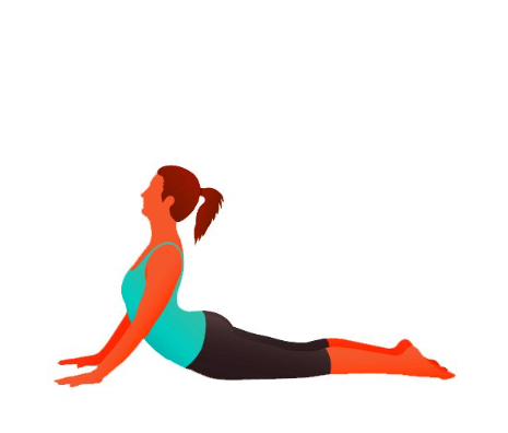 Bhujangasana (Cobra Pose)